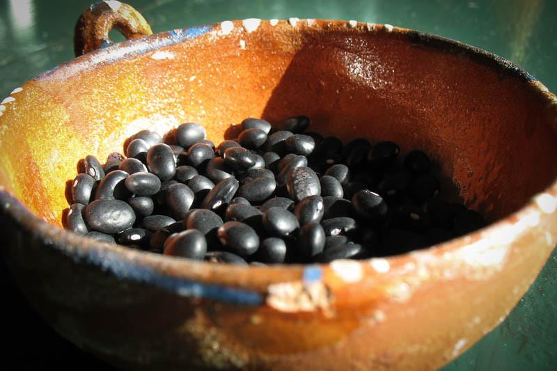 Rancho Gordo Midnight Black Bean - 1lb