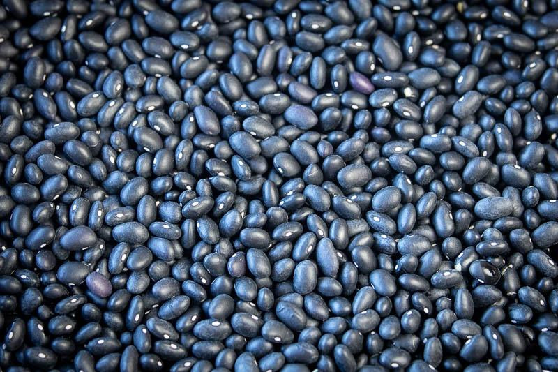 Rancho Gordo Midnight Black Bean - 1lb