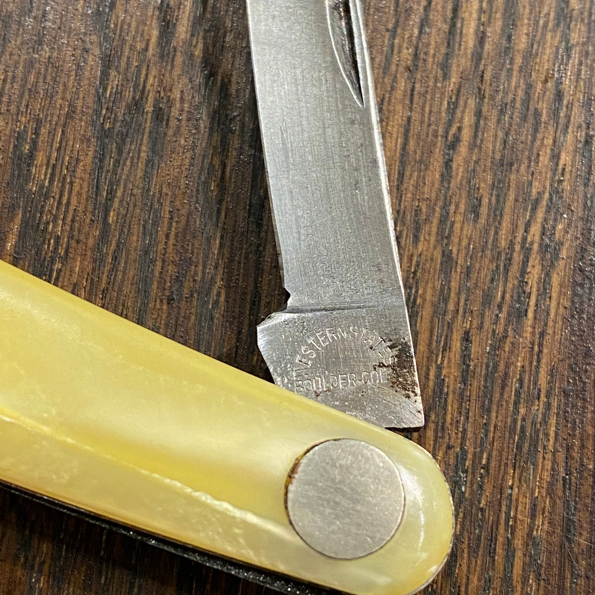 Western States 3 3/8” Serpentine Pen Carbon Blades Celluloid Scales 1911-51