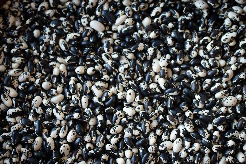 Rancho Gordo Vaquero Beans - 1lb