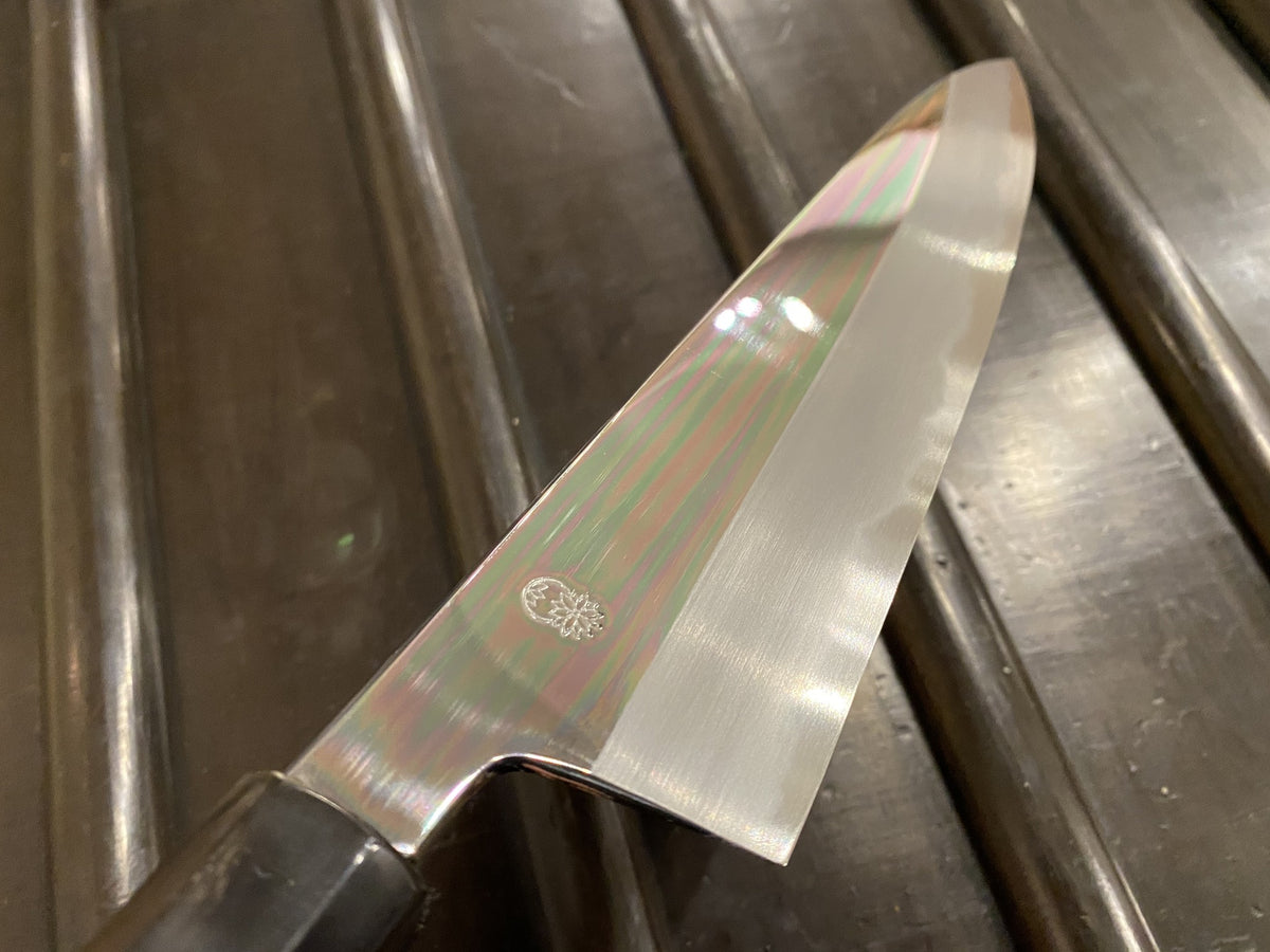 Sakai Kikumori Choyo 240mm Gyuto Aogami 1 with Saya