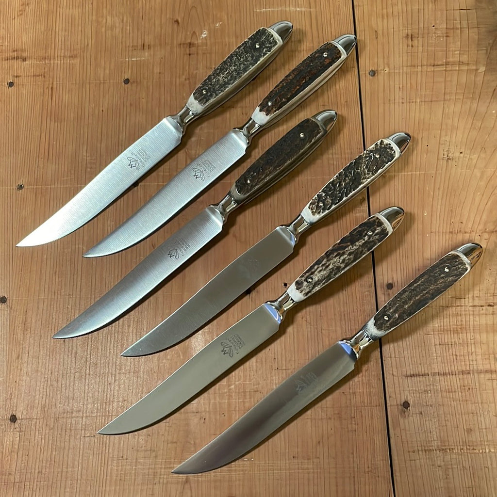 Steak Knives, Set of 6- Blue/Green - Cornelia Park