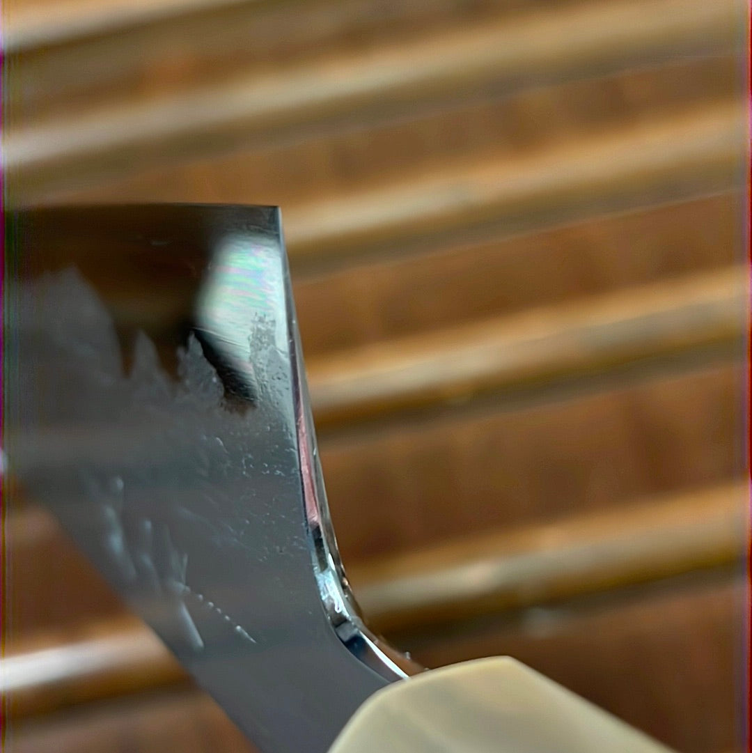 Tetsujin Hamono 210mm Gyuto Aogami 2 Wrought Iron Ebony Blonde Horn Handle