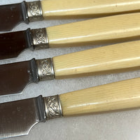 Antique French Table Knives Pictoral Marks In Shadow Box Early 20th C