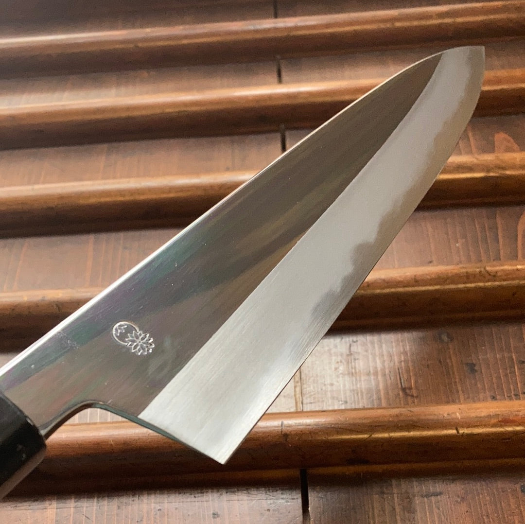 Sakai Kikumori Choyo 240mm Gyuto Shirogami 2 with Saya