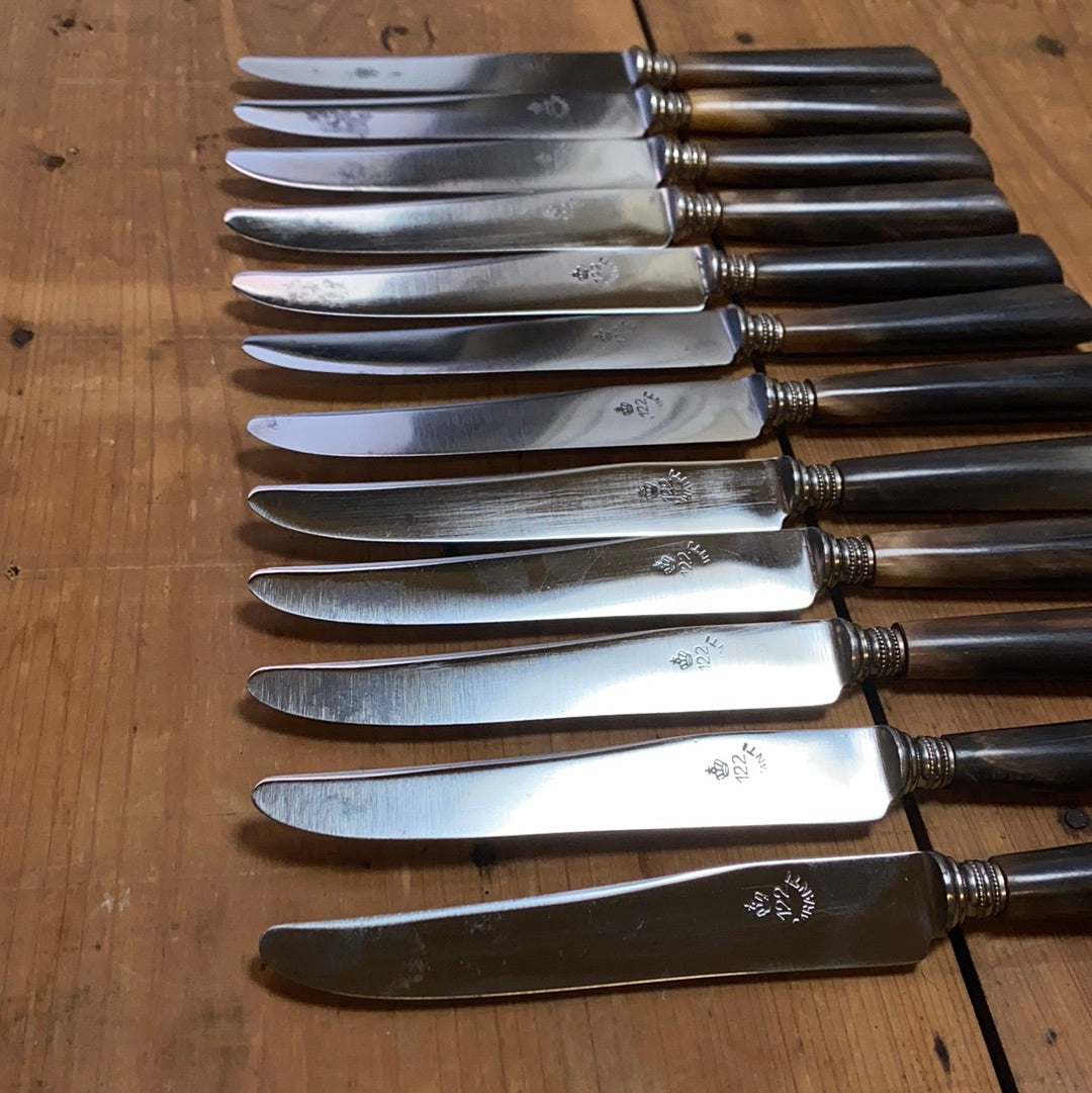 ‘122 Garanti’ French Sm Table Knife Set of 12 Carbon Steel Horn W/ Box