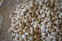 Rancho Gordo Alubia Blanca Bean - 1lb