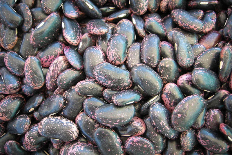 Rancho Gordo Scarlet Runner Beans - 1lb