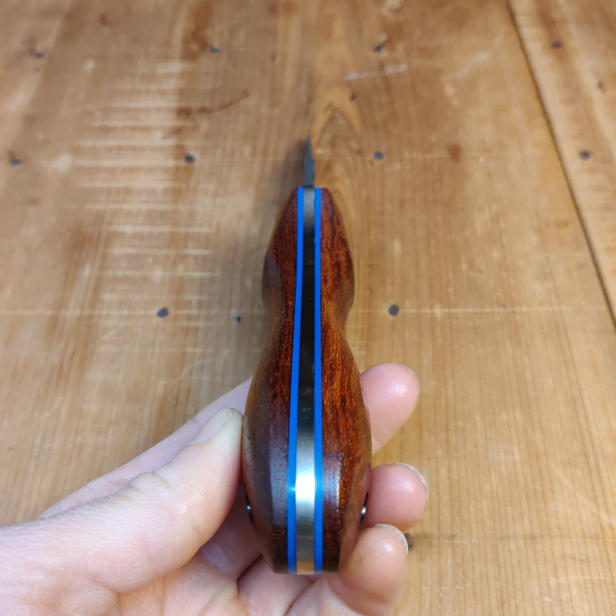 Alma Knife Co. Carolina Shucker - Black Bubinga | Blue G10 Liners