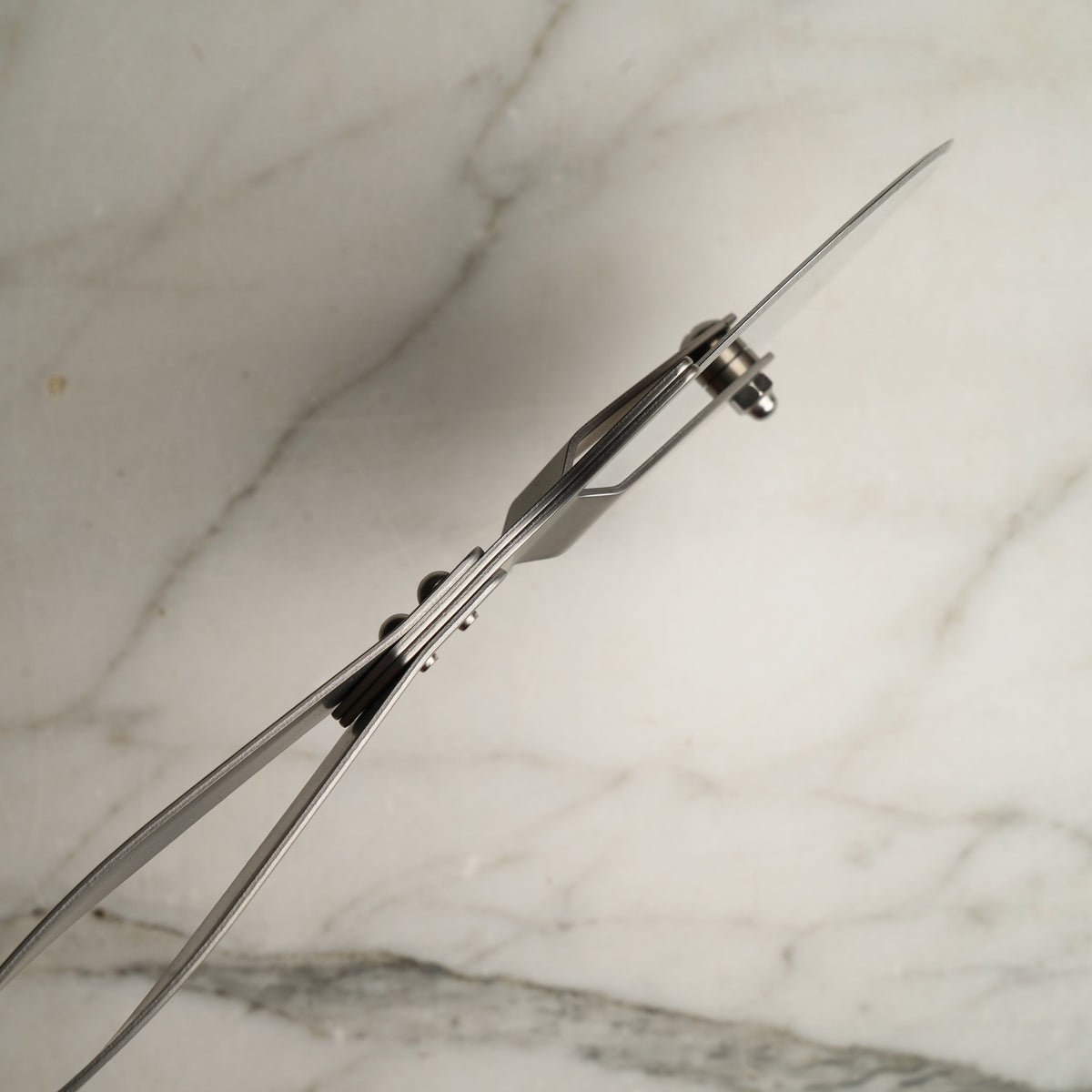 Prince Stainless Steel Pizza Cutter