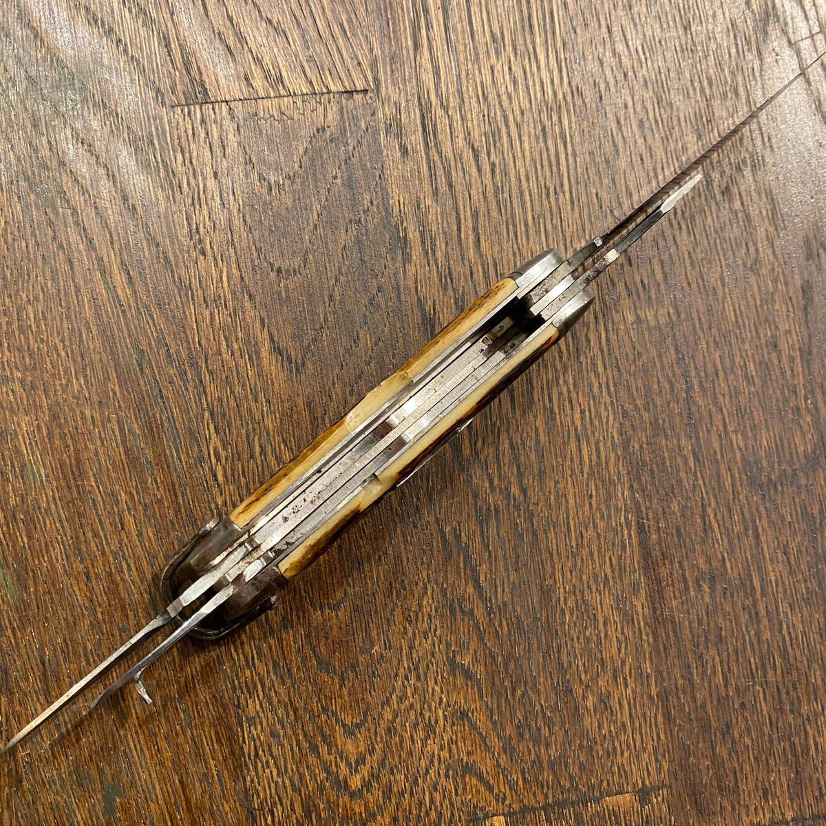 Unmarked 3 5/8" Scout Knife Multiblade Carbon Steel / Bone 1930s-60s