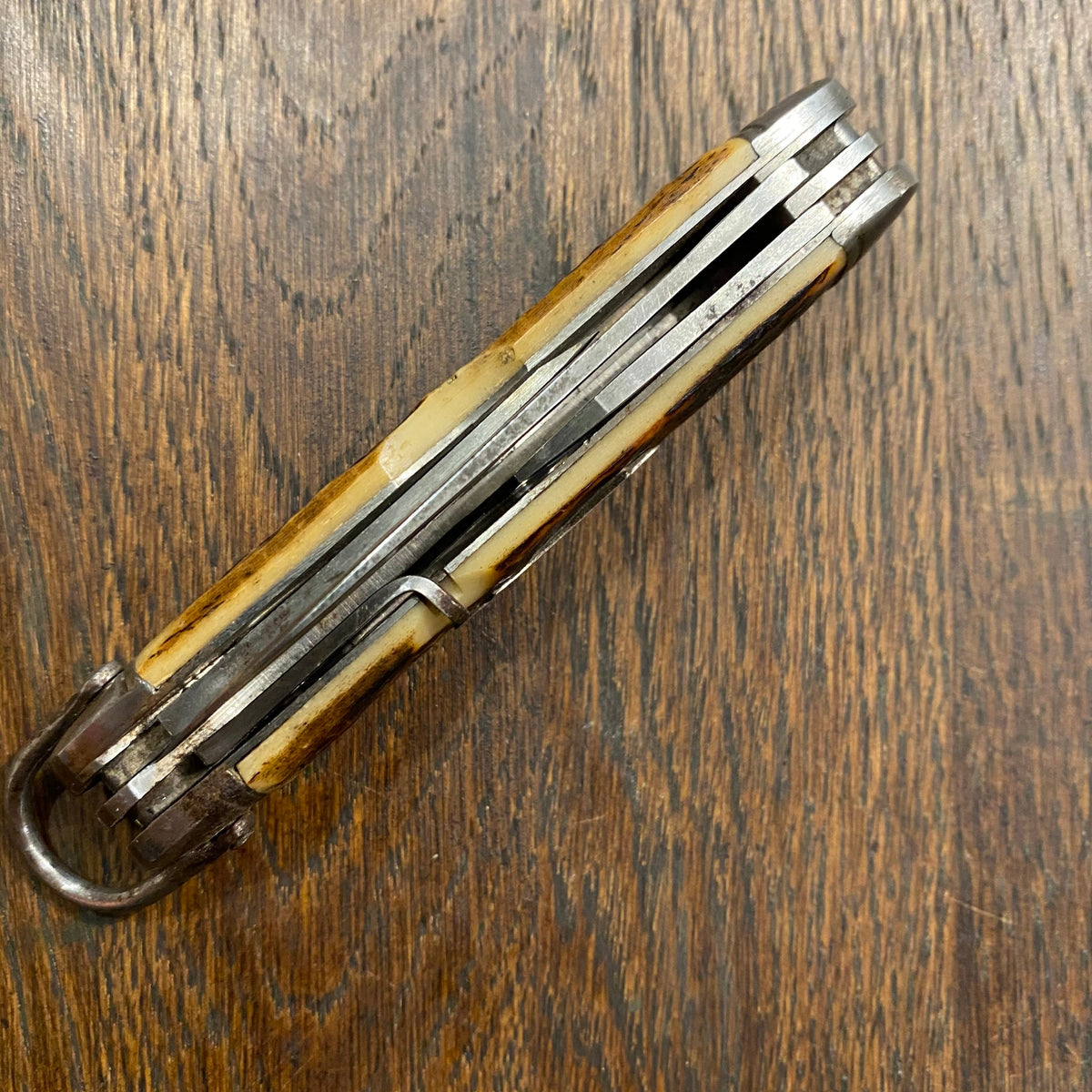 Unmarked 3 5/8" Scout Knife Multiblade Carbon Steel / Bone 1930s-60s