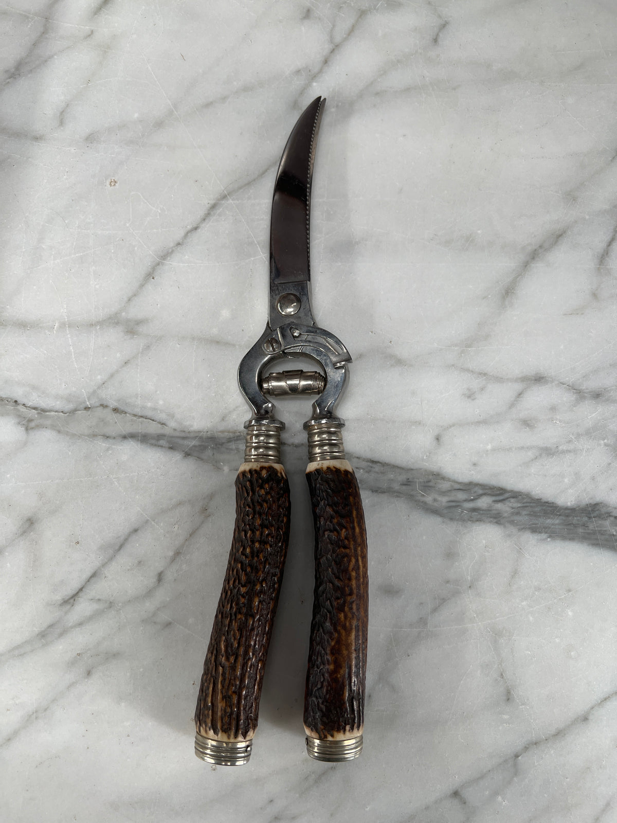 Poultry Shears Stainless Steel & Stag Solingen 1950s-60s