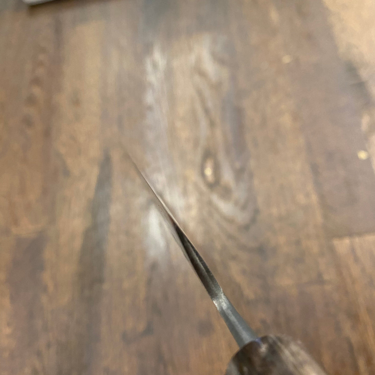 Trade in Mutsumi Hinoura Ajikataya 270mm Sujihiki Shirogami 2 Tsuchime Ho / Horn Handle