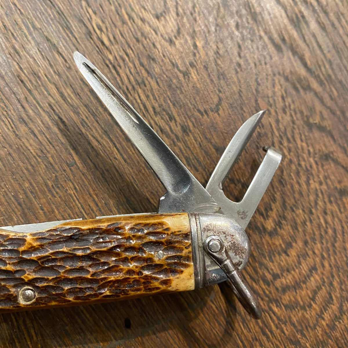 Unmarked 3 5/8" Scout Knife Multiblade Carbon Steel / Bone 1930s-60s