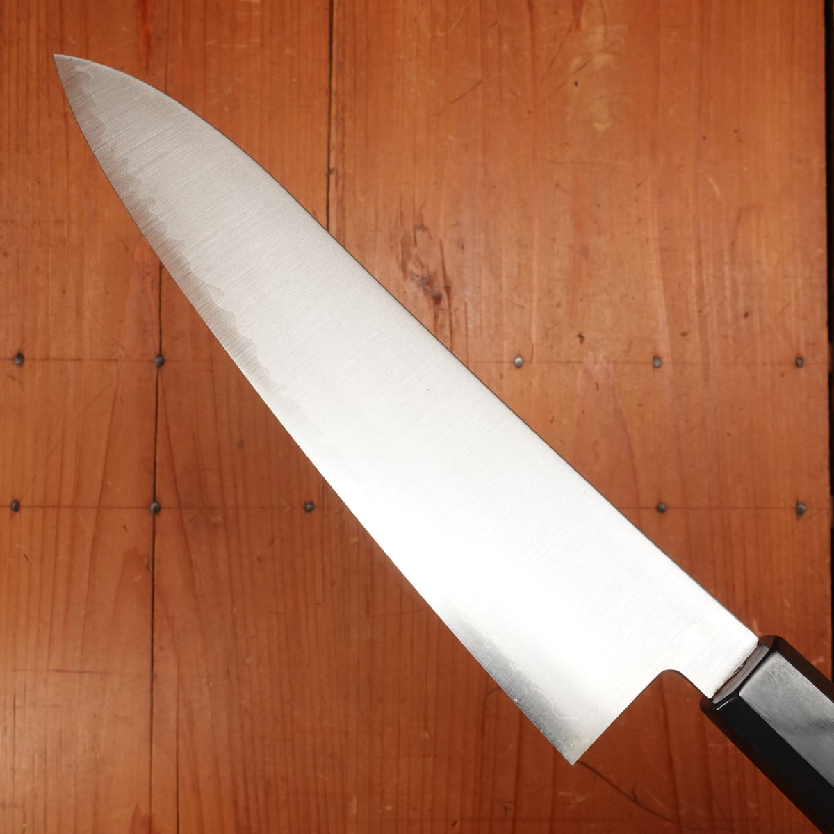 Hatsukokoro Hayabusa 210mm Gyuto HAP40 Walnut Handle