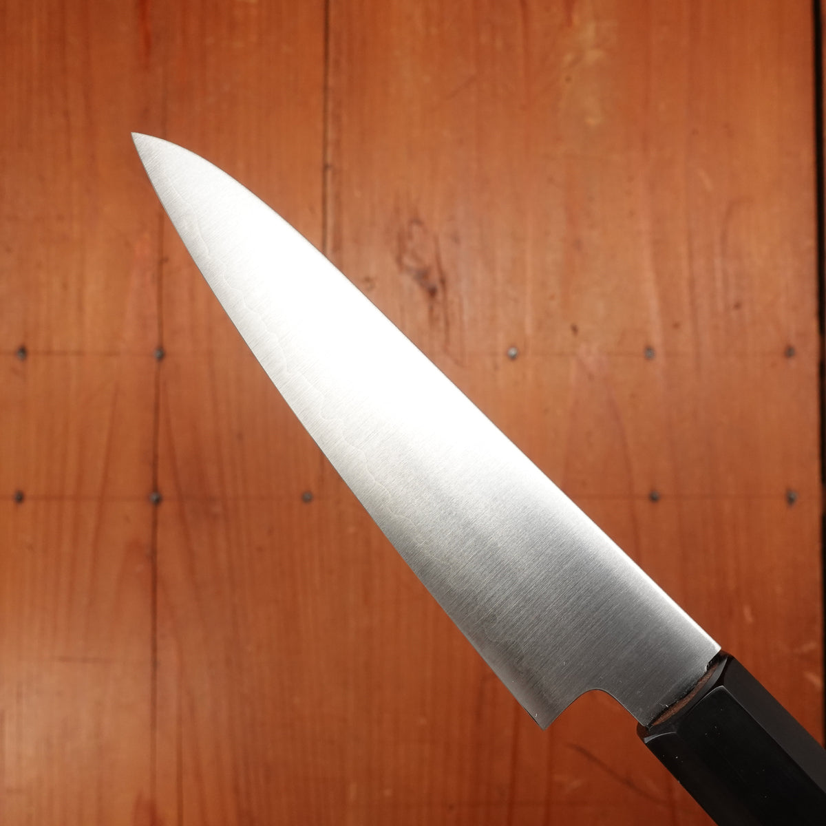 Hatsukokoro Hayabusa 120mm Petty HAP40 Walnut Handle