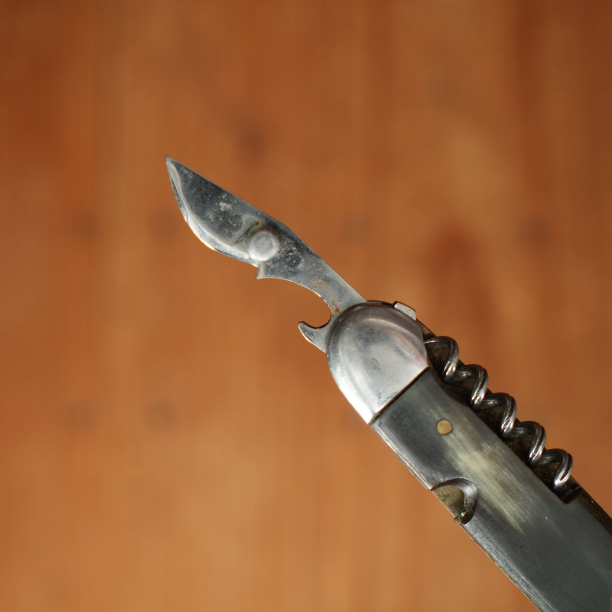 Saint Hubert Bucher Inox 11cm Multiblade Stainless & Horn 1950s?