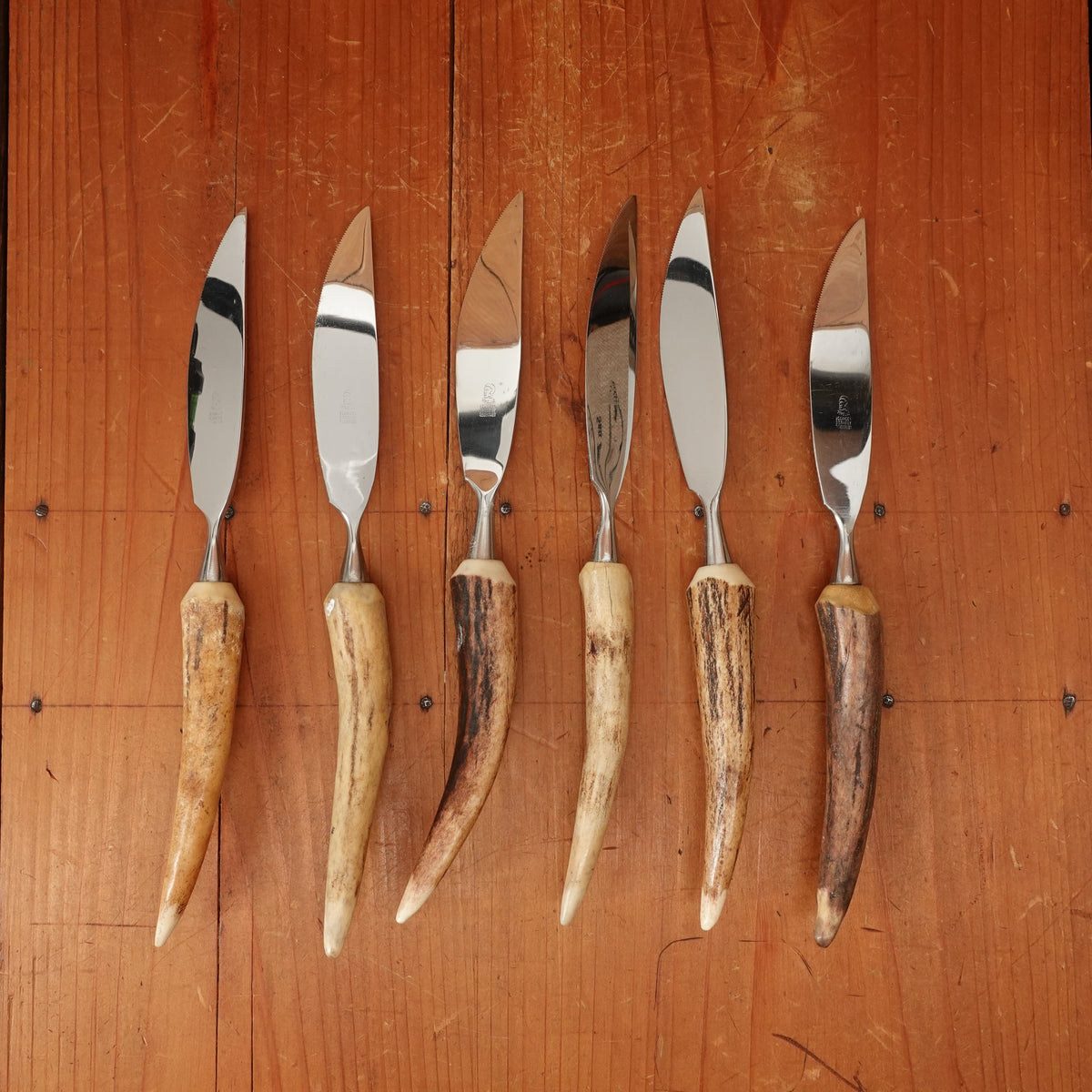 Anton Wingen Jr 6 Steak Knives Stainless & Stag Solingen 1960s-70s