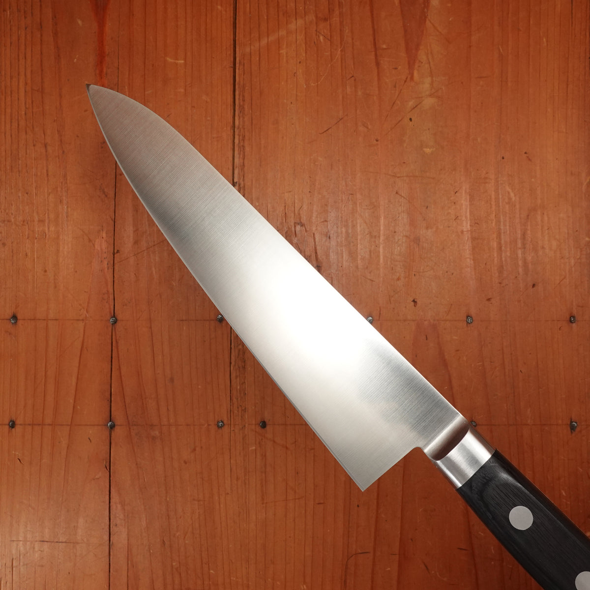 Morihei Hisamoto 210mm Gyuto Stainless Pakka Handle