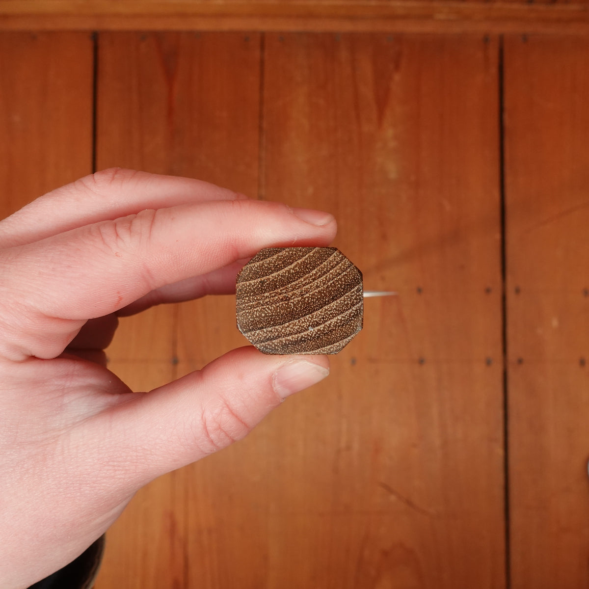Yoshikane Hamono 210mm Gyuto Shirogami 2 Nashiji Teak Handle