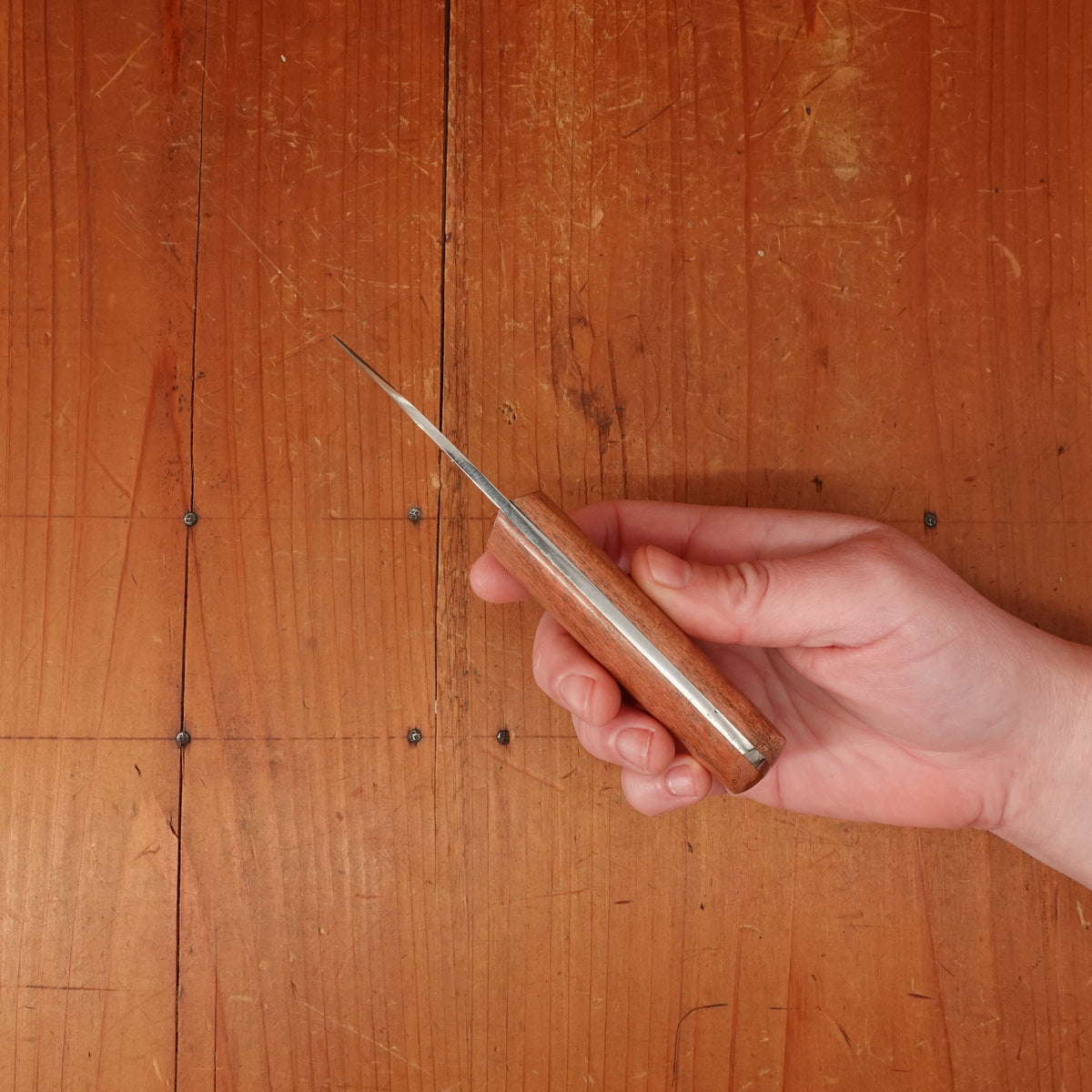 Au Nain 2.5" Crapaud Oyster Knife Stainless Kotibe Handle