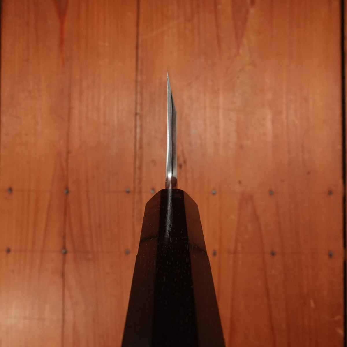 Hatsukokoro Nakagawa 210mm Deba Ginsanko Kyomen Ebony Black Buffalo Horn - LEFTY