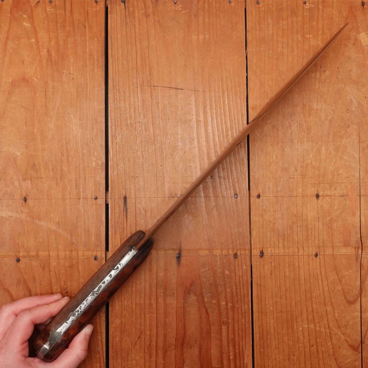 T R Mann 12” Lobster Splitter Heavy Chef Knife 1890-1930s? Spokane, Washington