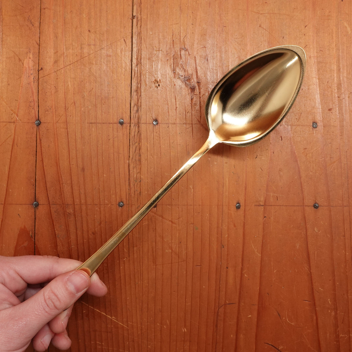 Gestura 9” 01 Oro Golden Stainless Steel Kitchen Spoon