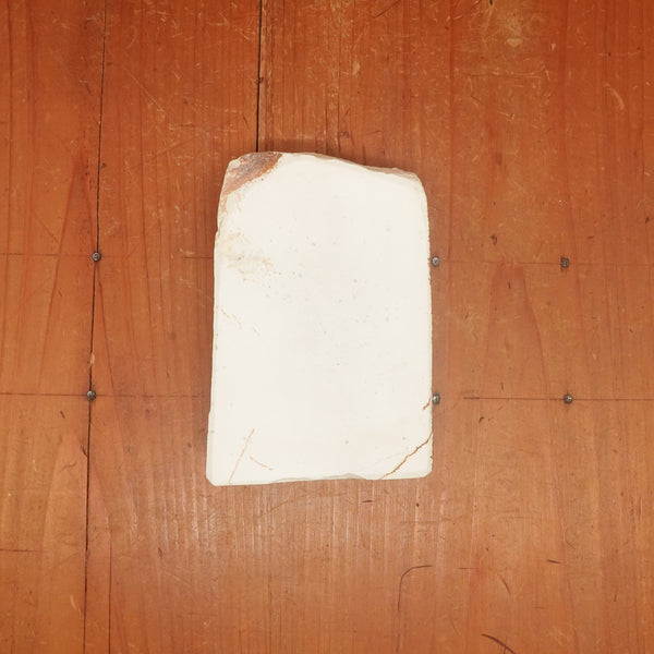 BCS13 Miwotsukushi Hime Iyo Meito 'Koume Shiro' Hard Smooth Fine Nat Stone Tennen Toishi Ehime 778 Grams