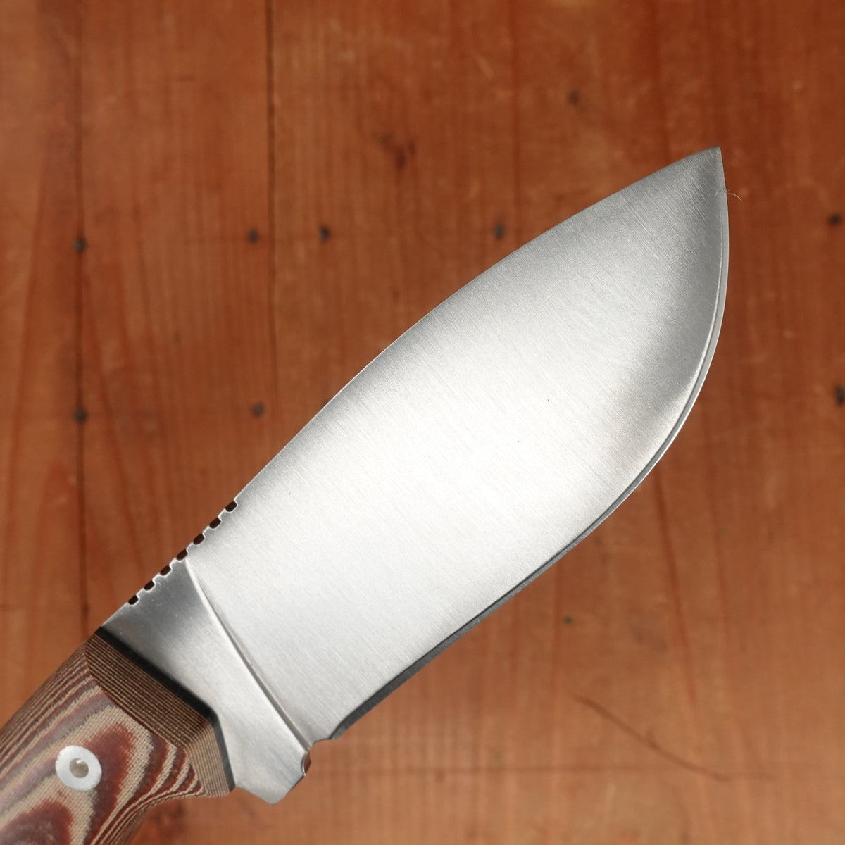 Hubertus 4.25" Hunter Stainless Micarta Germany Unused