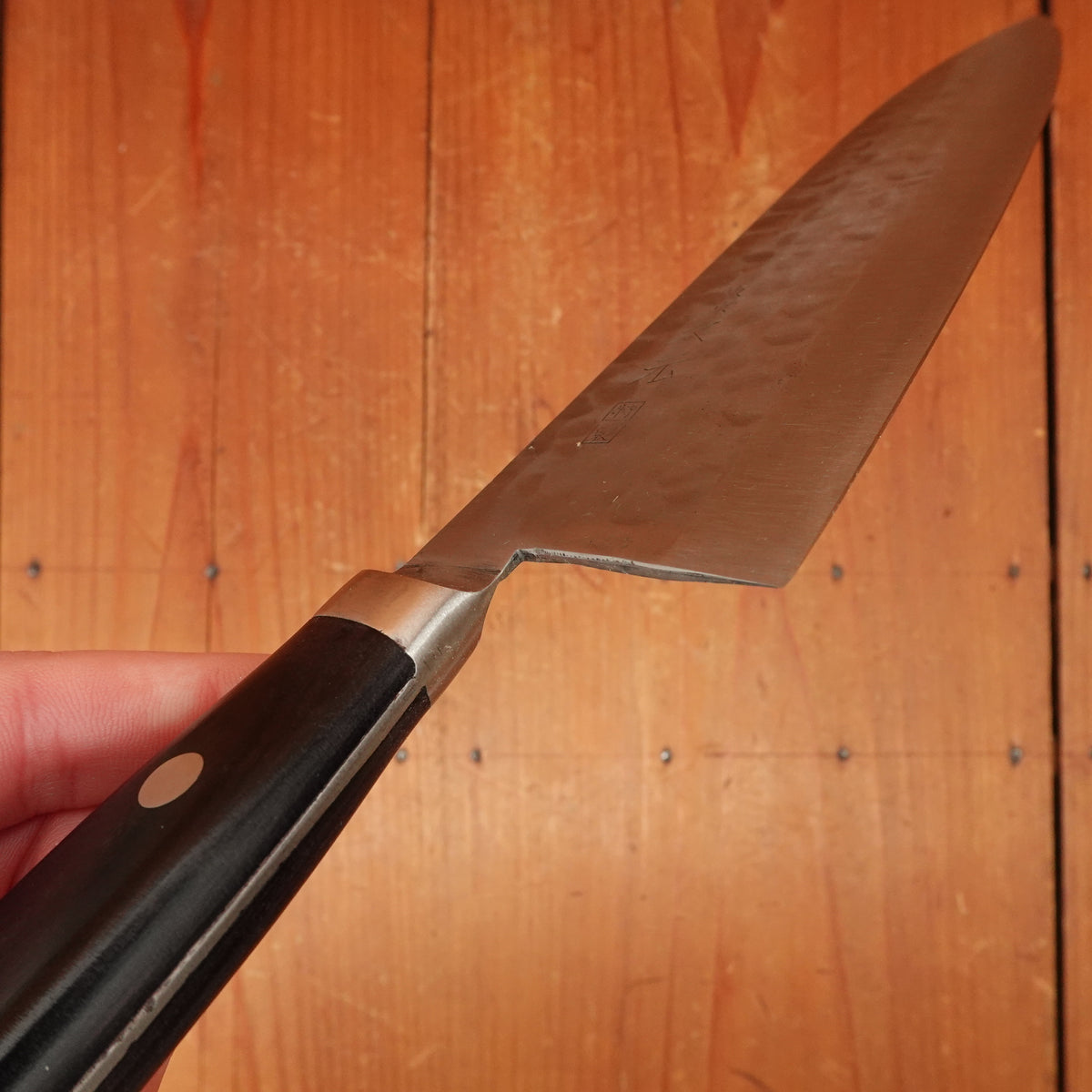 Morihei Hisamoto 210mm Gyuto Stainless Clad Shirogami 1 Tsuchime Pakka Handle