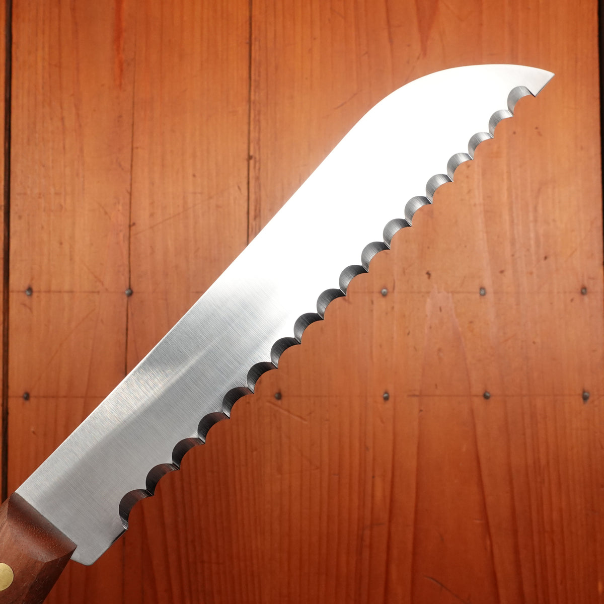 Friedr Herder 8” Serrated Boscher Knife Carbon Walnut