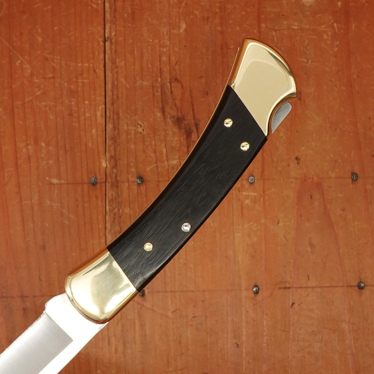 Buck Knives 110 Folding Hunter® Knife