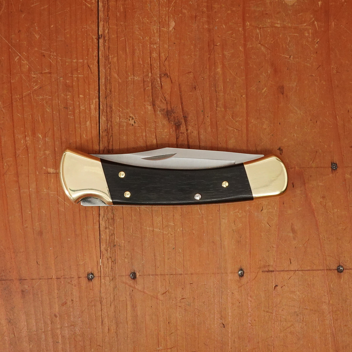 Buck Knives 110 Folding Hunter® Knife