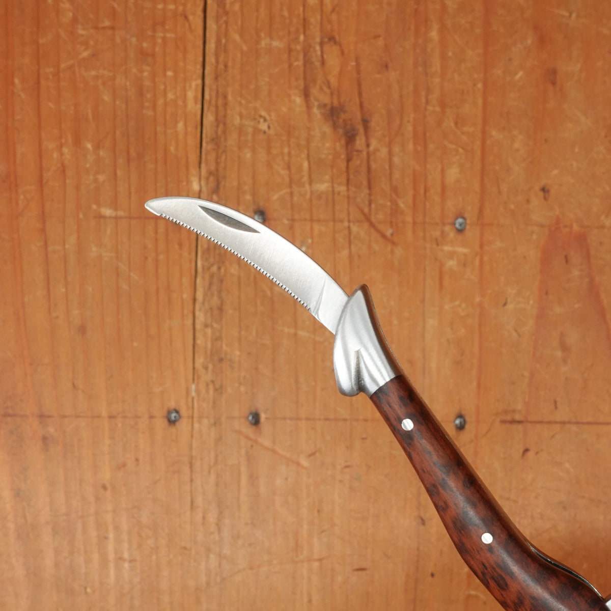 André Verdier Laguiole Cepage Wine Key - Two Bolster Amourette