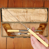 Southern & Richardson Carving Set Shear Steel & Celluloid In Box Sheffield 1920s