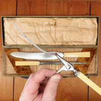 Southern & Richardson Carving Set Shear Steel & Celluloid In Box Sheffield 1920s