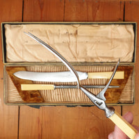 Southern & Richardson Carving Set Shear Steel & Celluloid In Box Sheffield 1920s