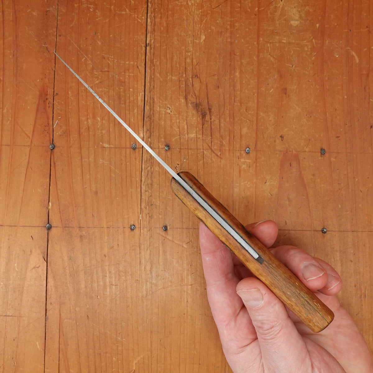 Unmarked 4.5" Saigner Carbon Steel Beech Rosette Rivets France 1950s?