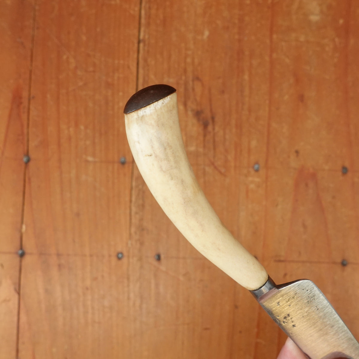Assorted Historically Inaccurate 4.75" Clip point Paring Knife Shear Carbon Steel Stag Horn Handle Sheffield 1820s-60s