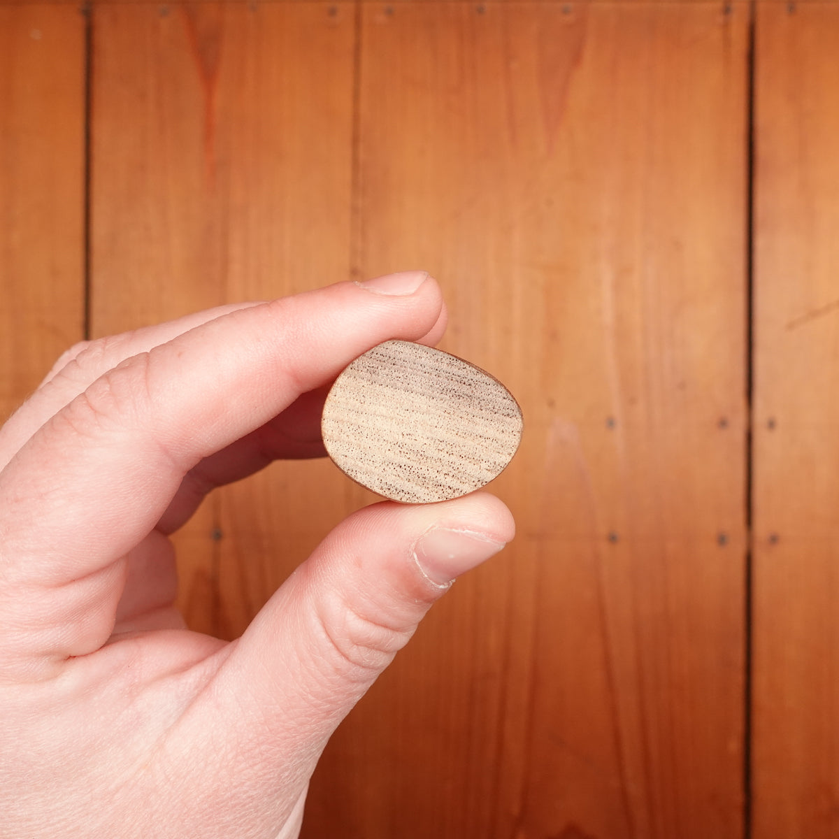 Tosa Tadayoshi 180mm Ikasaki Aogami 1 Walnut/PC