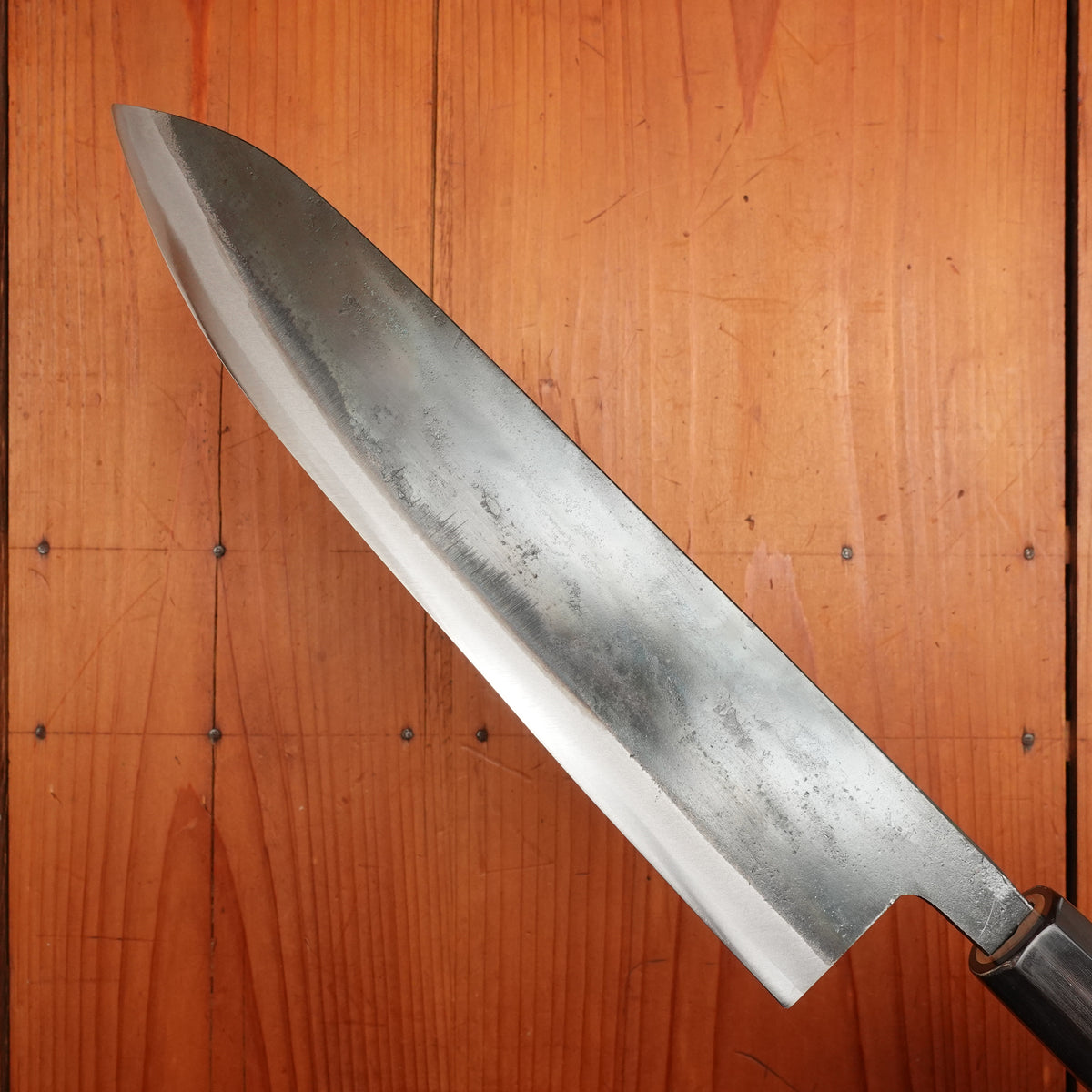 Tosa Tadayoshi 240mm Tosa Style Wa Gyuto Aogami 1 Oct Ho/Horn