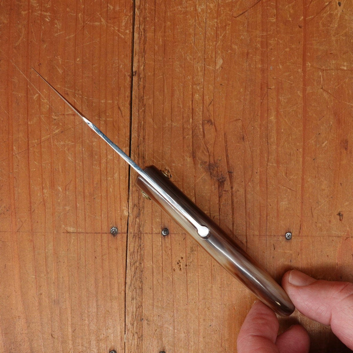 95mm Capuchin Friction Folder Stainless & Horn