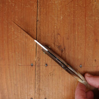 95mm Capuchin Friction Folder Stainless & Horn