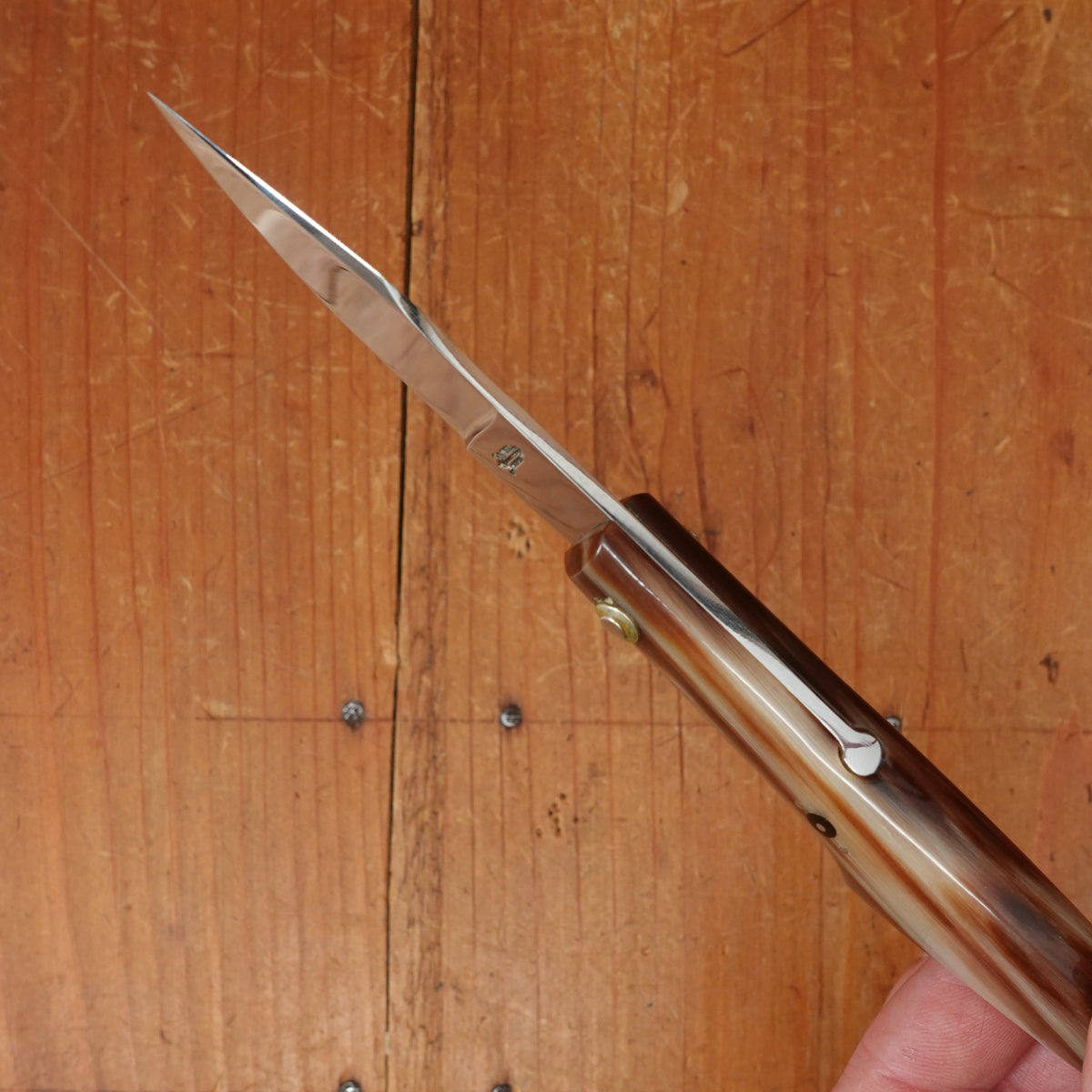 95mm Capuchin Friction Folder Stainless & Horn