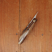 95mm Capuchin Friction Folder Stainless & Horn