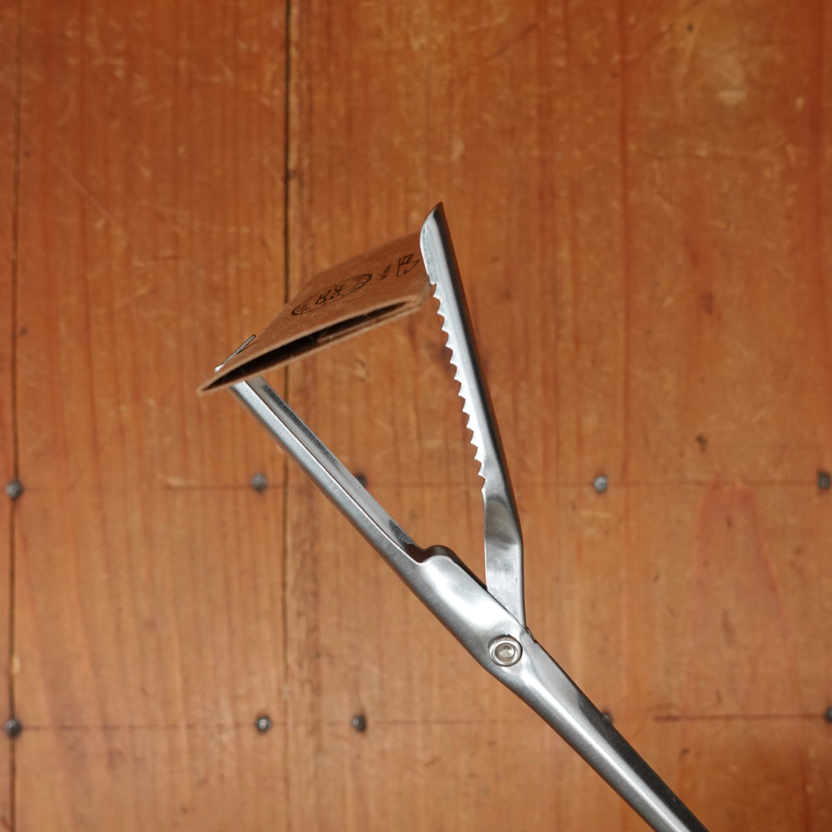 Ambrogio Sanelli - Larding Needle with Flap 19.5cm