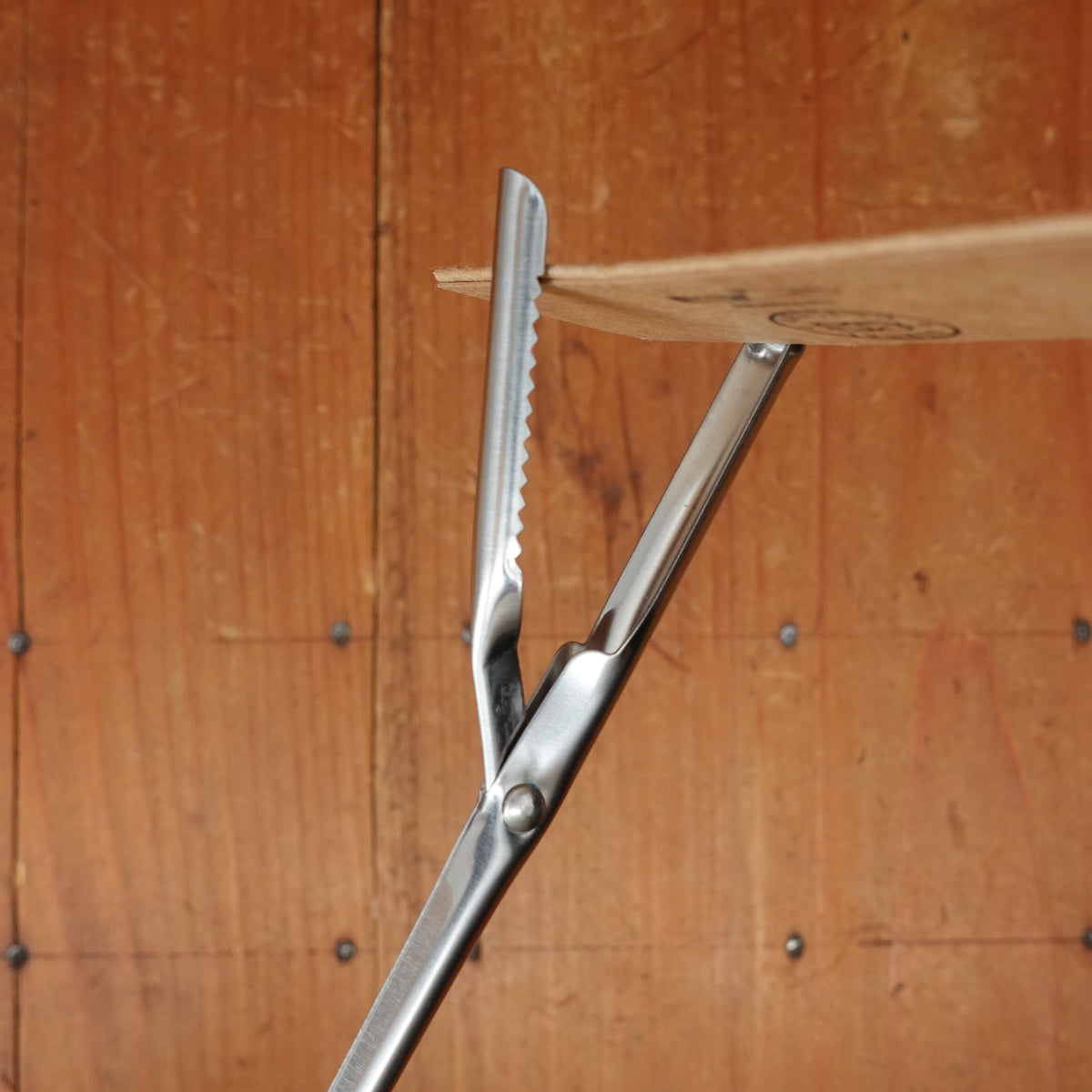 Ambrogio Sanelli - Larding Needle with Flap 19.5cm