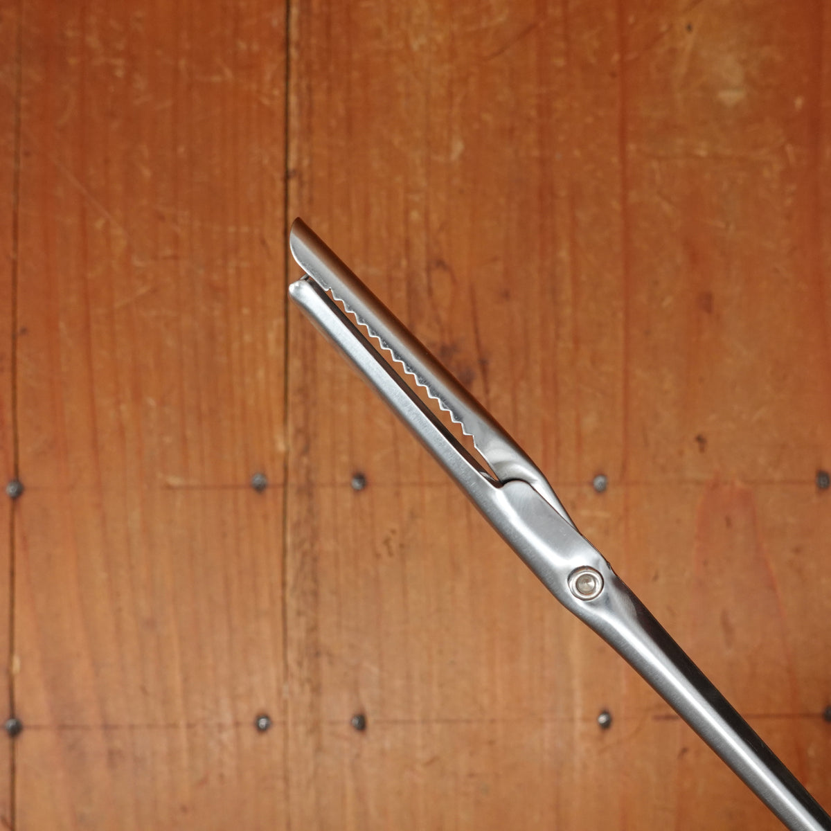 Ambrogio Sanelli - Larding Needle with Flap 19.5cm